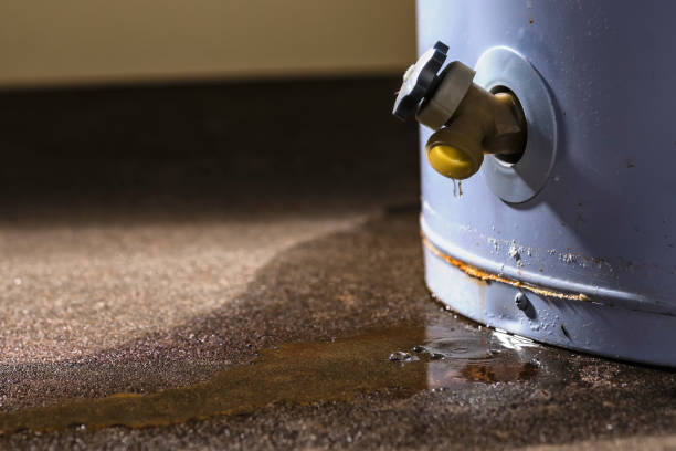  Wilson, PA Water damage restoration Pros
