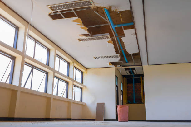 Best Basement water damage restoration  in Wilson, PA
