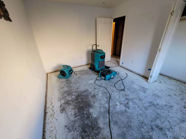 Best Water damage restoration near me  in Wilson, PA