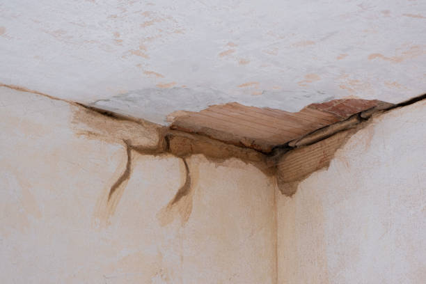 Best Water damage contractors near me  in Wilson, PA