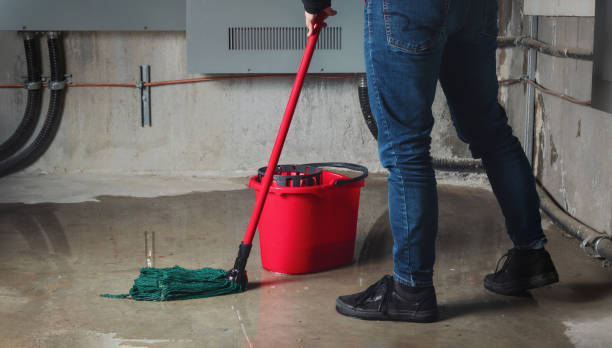 Best Local water damage restoration  in Wilson, PA