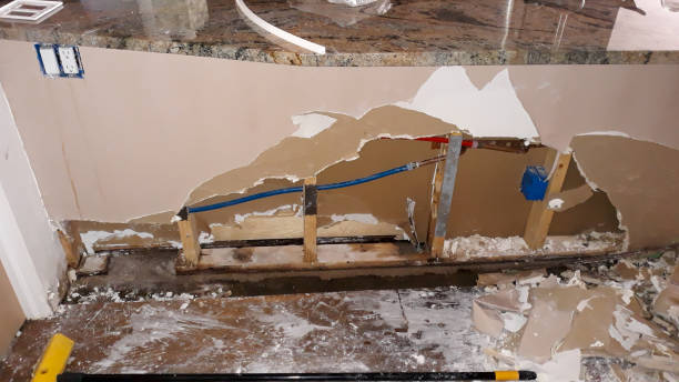 Best 24-hour water damage restoration  in Wilson, PA