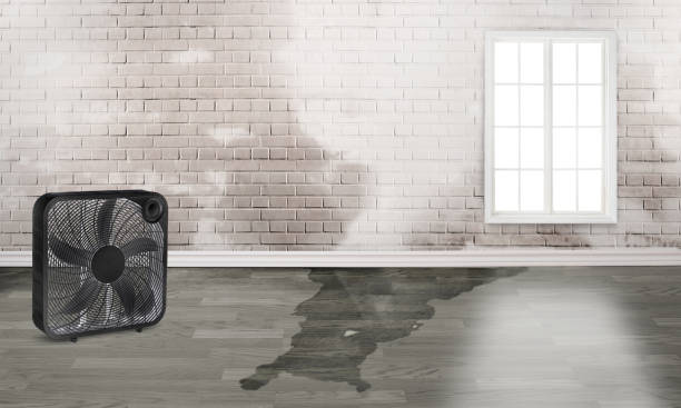 Water damage restoration process in Wilson, PA