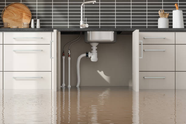 Best Local water damage restoration  in Wilson, PA