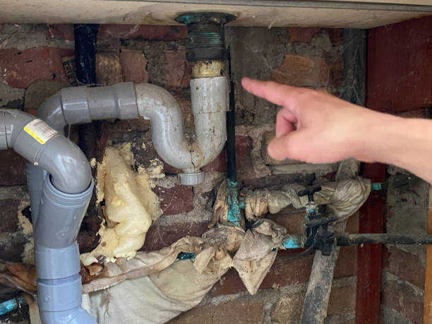 24/7 water damage repair in Wilson, PA